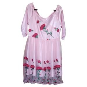 Pink Floral Midi Dress Lace Embroidered Red Roses Women's XXL Fairy Whimsigoth